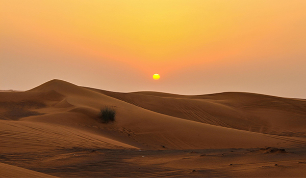 Temps liturgique : Le Carême